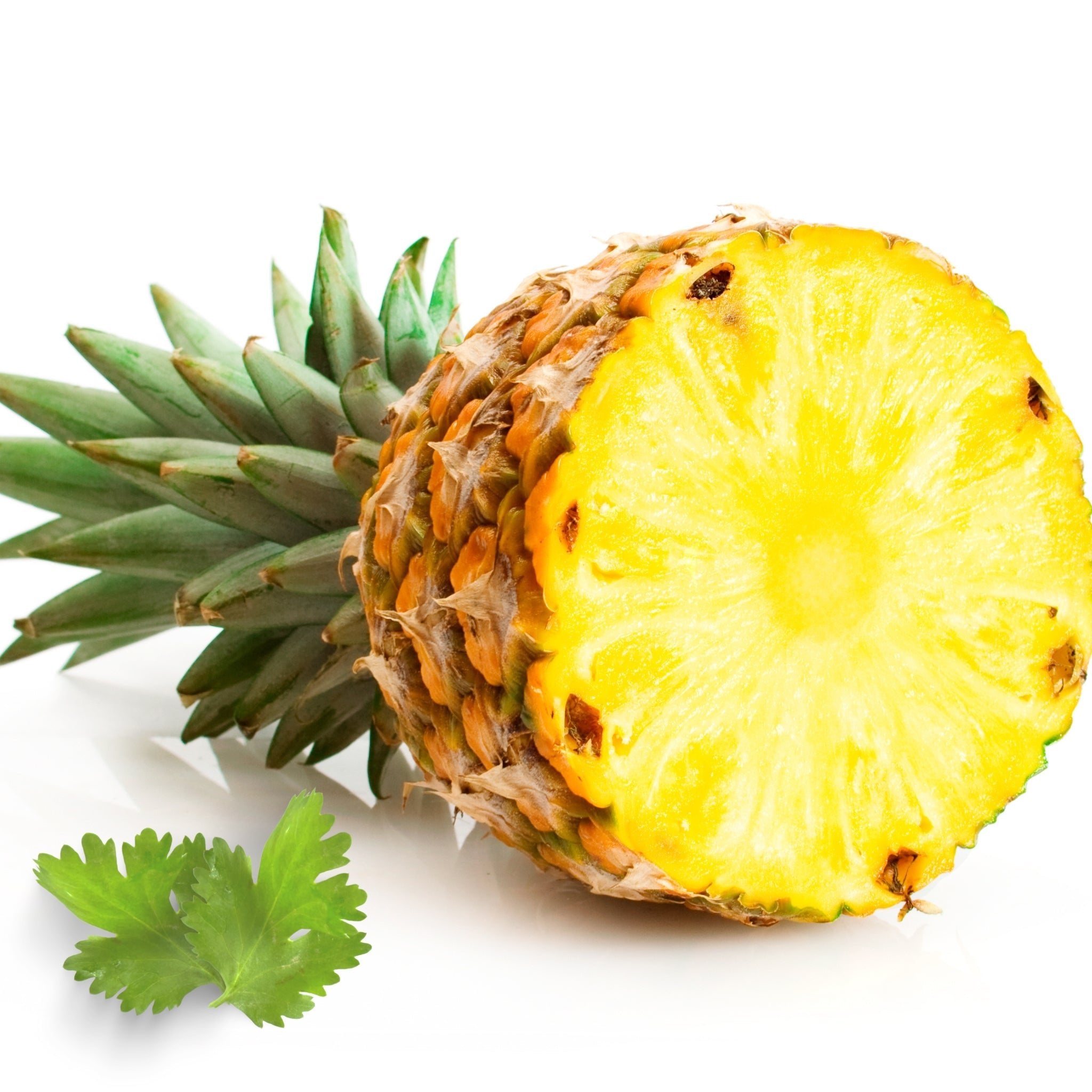 Premium Pineapple Cilantro Fragrance Oil - 100% Natural Essential Oil for Aromatherapy, Candles & Soap Making - Refreshing Tropical Scent for Home, Spa & DIY Projects