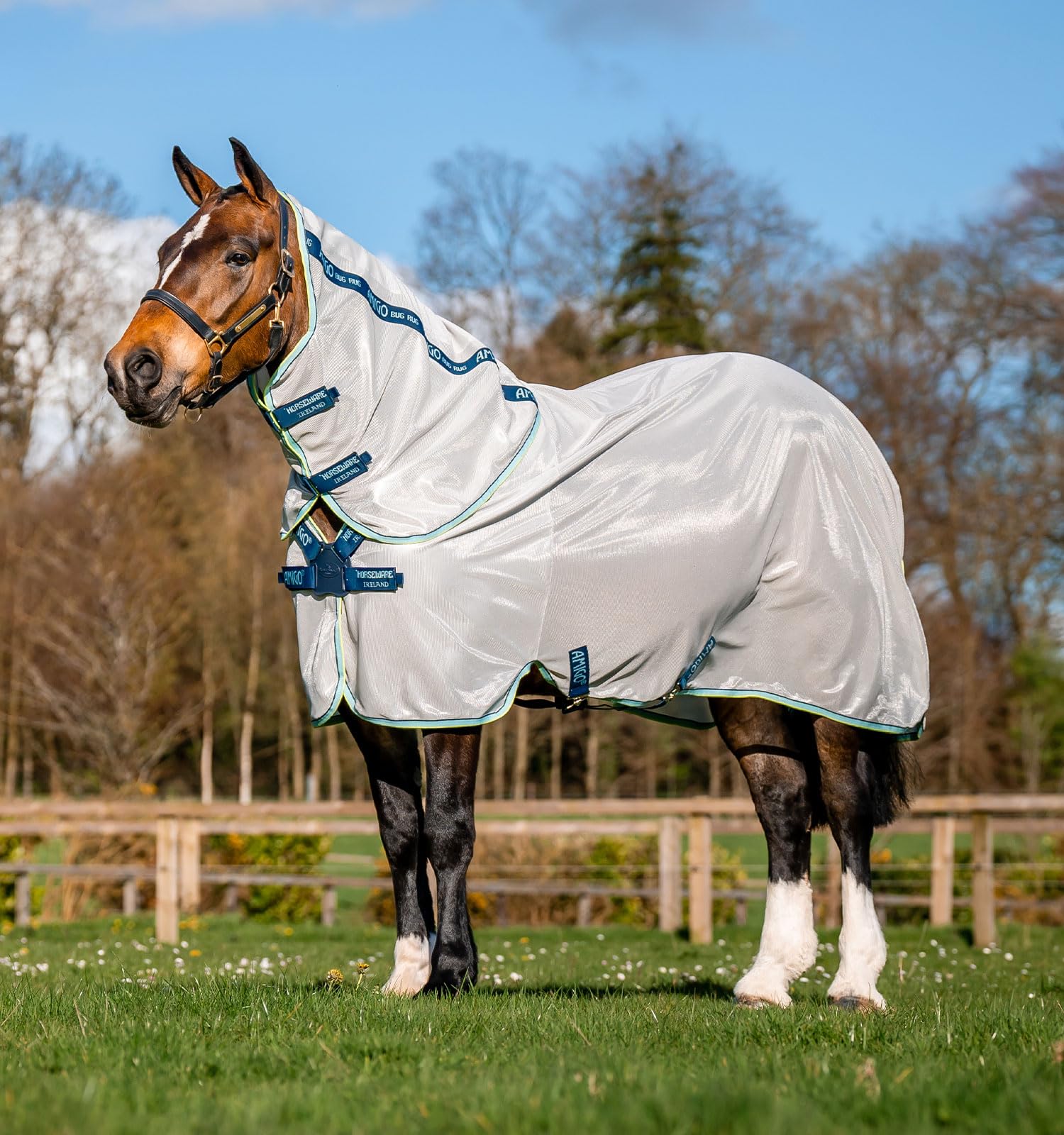 Horseware® Amigo® XL Bug Rug Fly Sheet with Disc Front Closure - Lightweight 0g Protection for Horses - Ideal for Summer Riding, Pasture, and Fly Control