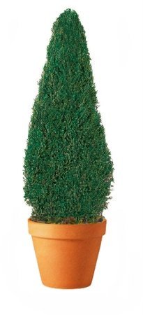 Forever Green Art CON030P 30-Inch Preserved Pine Cone in Decorative Paper Mache Pot - Perfect for Home Decor, Christmas Centerpiece, and Holiday Table Settings