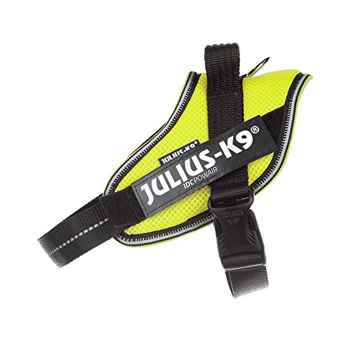 (IDC Powair) Neon