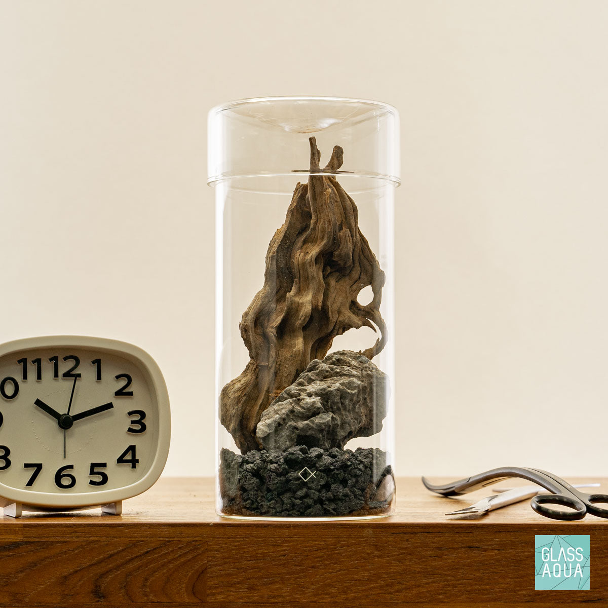 Miniature Terrarium Kit with Succulents & Moss - DIY Glass Garden for Home & Office Decor, Perfect Gift for Plant Lovers - Create Your Own Tiny Ecosystem for Desk, Shelf or Windowsill Display