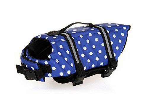 DotBlue