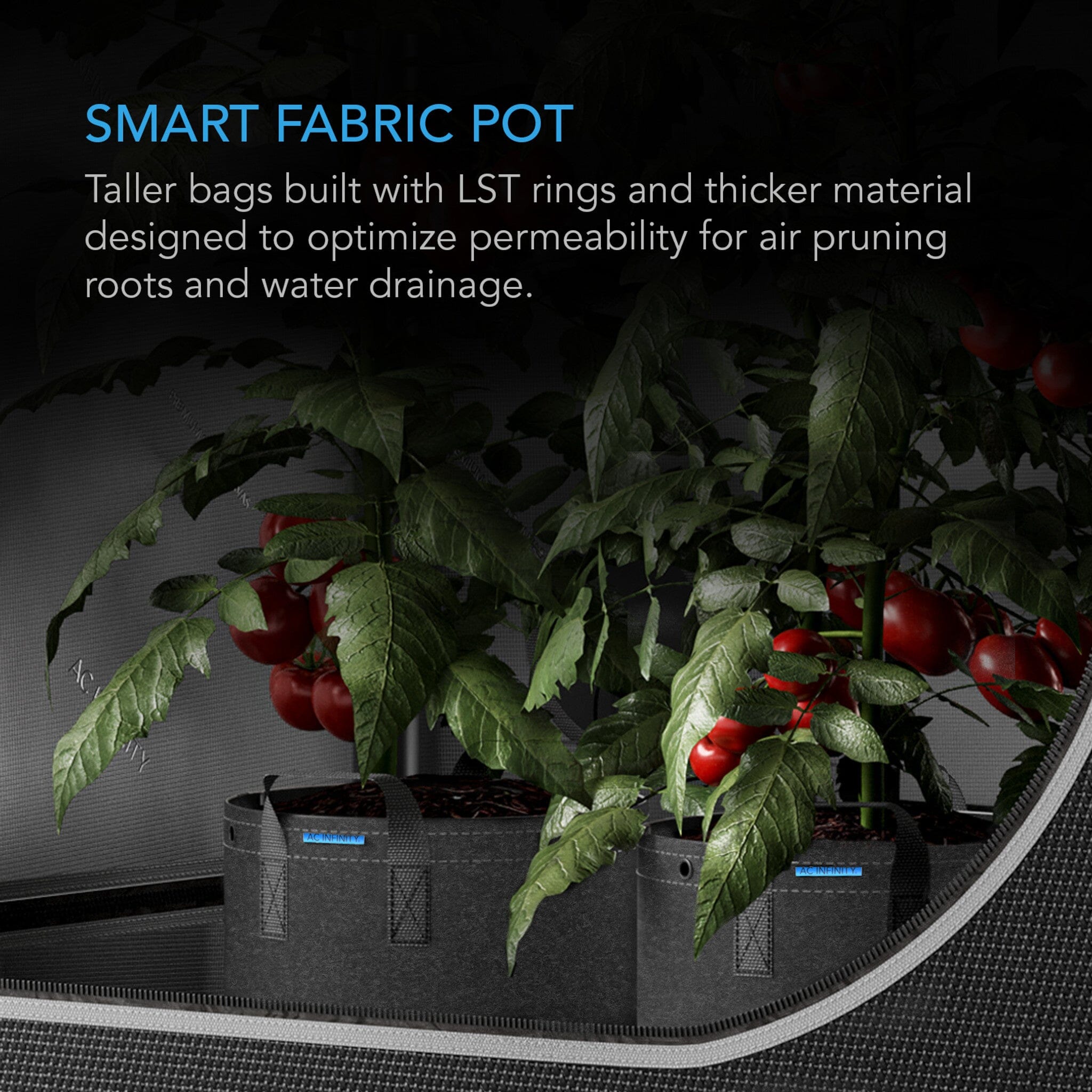 AC Infinity 3 Gallon Heavy Duty Fabric Pots - 5 Pack for Indoor/Outdoor Plants, Gardening, and Hydroponics - Durable, Breathable, and Reusable Grow Bags