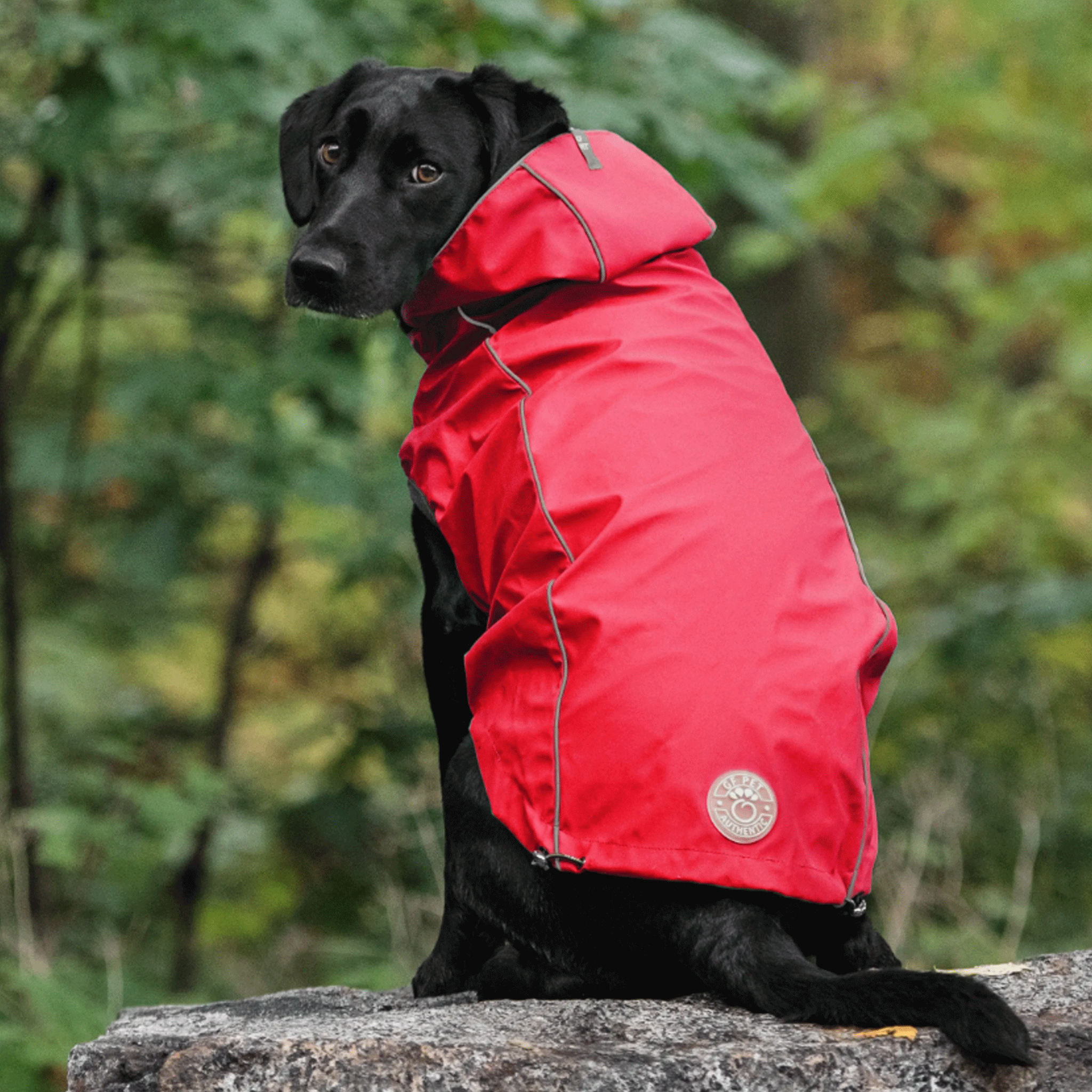 Waterproof Reversible Dog Rain Jacket for Small Medium Large Dogs - Red & Black - Outdoor Walking Hiking Pet Raincoat