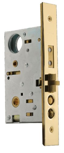Lifetime Polished Brass