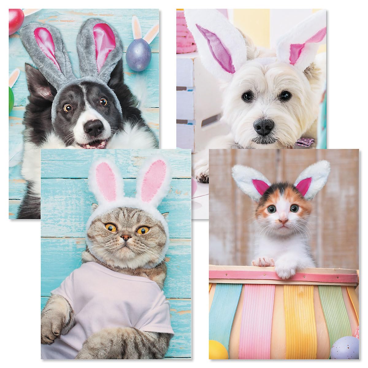 Premium Dog & Cat Easter Greeting Card Set - 8 Large 5x7 Inch Cards with 4 Cute Designs & White Envelopes | Perfect for Kids, Adults, Easter Gifts & Spring Celebrations | Ideal for Family, Friends, Teachers & Coworkers