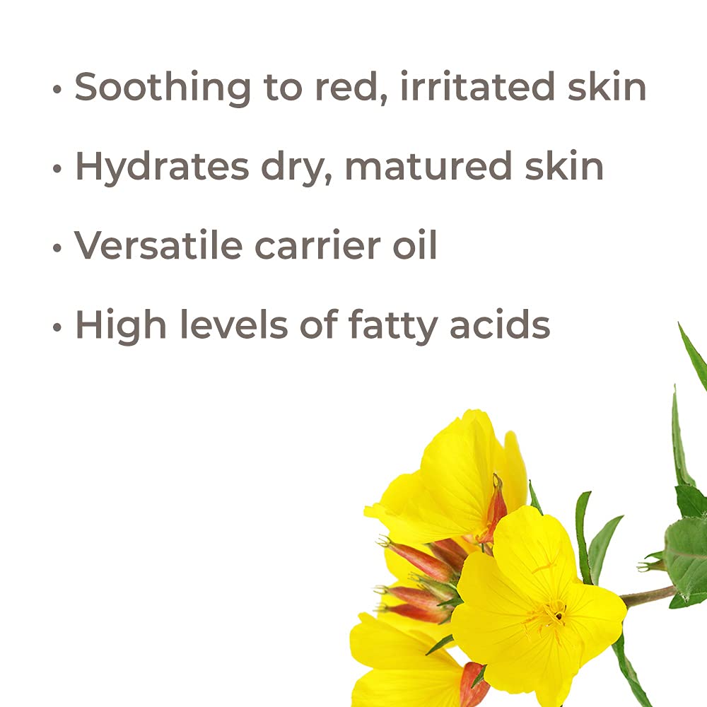 Plant Therapy Evening Primrose Carrier Oil - 1 Gallon Pure & Natural Base Oil for Aromatherapy, Essential Oils & Massage | Perfect for DIY Skincare, Hair Care & Relaxation Therapy
