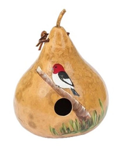Amish Hand Painted Red Headed Woodpecker Bird House - Attract Beautiful Birds to Your Garden Backyard