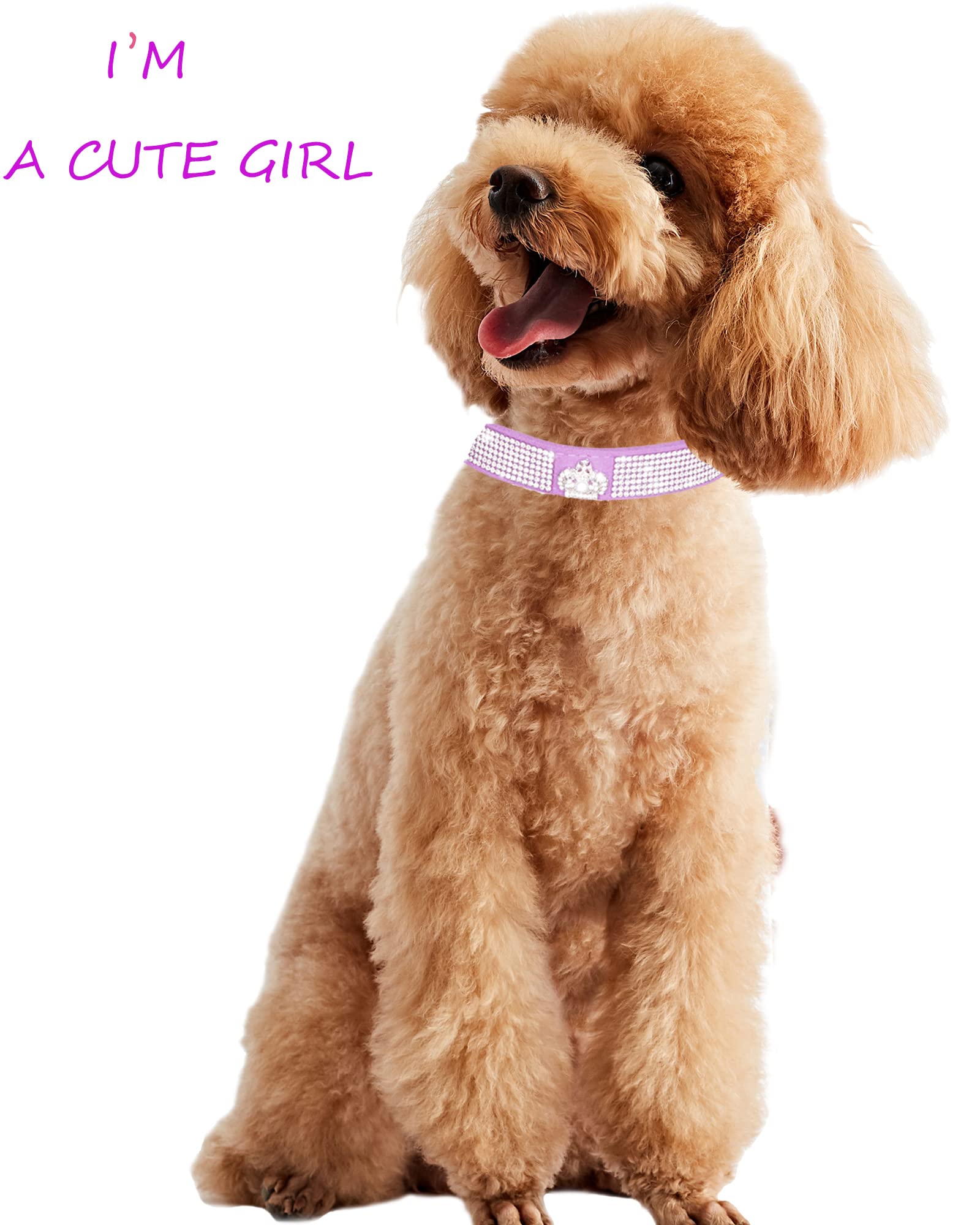 Premium Adjustable Leather Suede Bling Dog Collar with Rhinestones - XS Size for Small Dogs & Cats (Pink, Purple) - Perfect for Daily Walks, Pet Fashion & Special Occasions