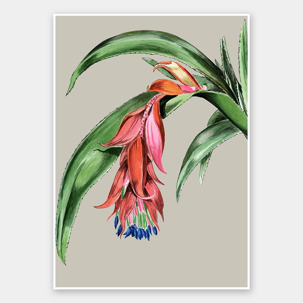 Crimson Bloom Unframed Art Print - Vibrant Floral Wall Decor for Living Room, Bedroom & Office | Perfect for Home & Office Decor