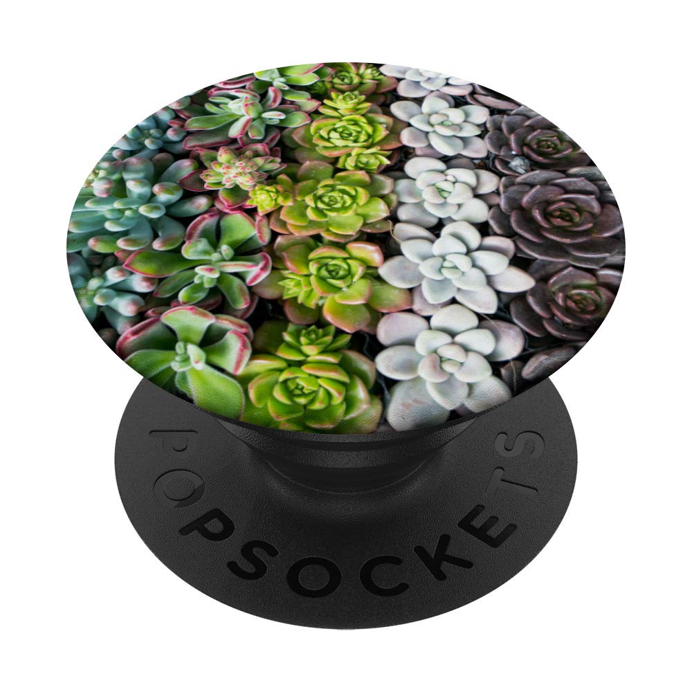 Miniature Succulent Plants Pattern PopSockets PopGrip - Swappable Phone Grip for iPhone, Samsung & Tablets | Cute Phone Accessory for Work, Travel & Daily Use