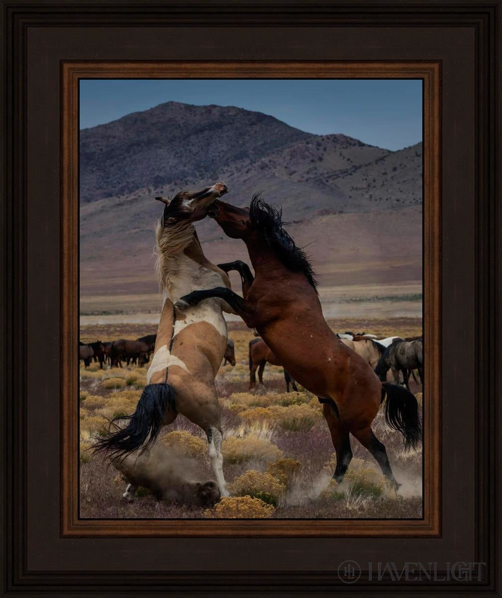 Desert Duel 1 by Greg Sargent - Western Adventure Novel for Adults | Perfect for Book Clubs, Gifts & Western Fiction Fans