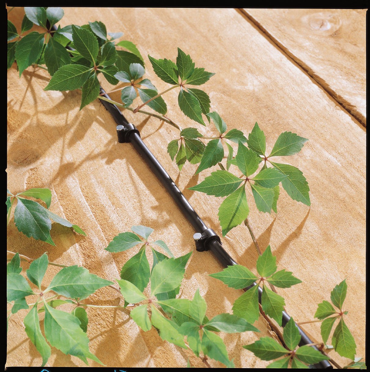 Orbit 56318 Hanging Basket Flex-Mist Watering Kit with Hose-End Timer - Automatic Plant Watering System for Potted Plants, Balcony Gardens & Outdoor Decor