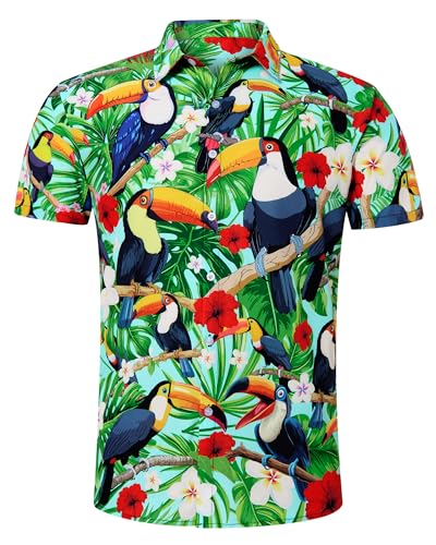 Hawaiian Parrots