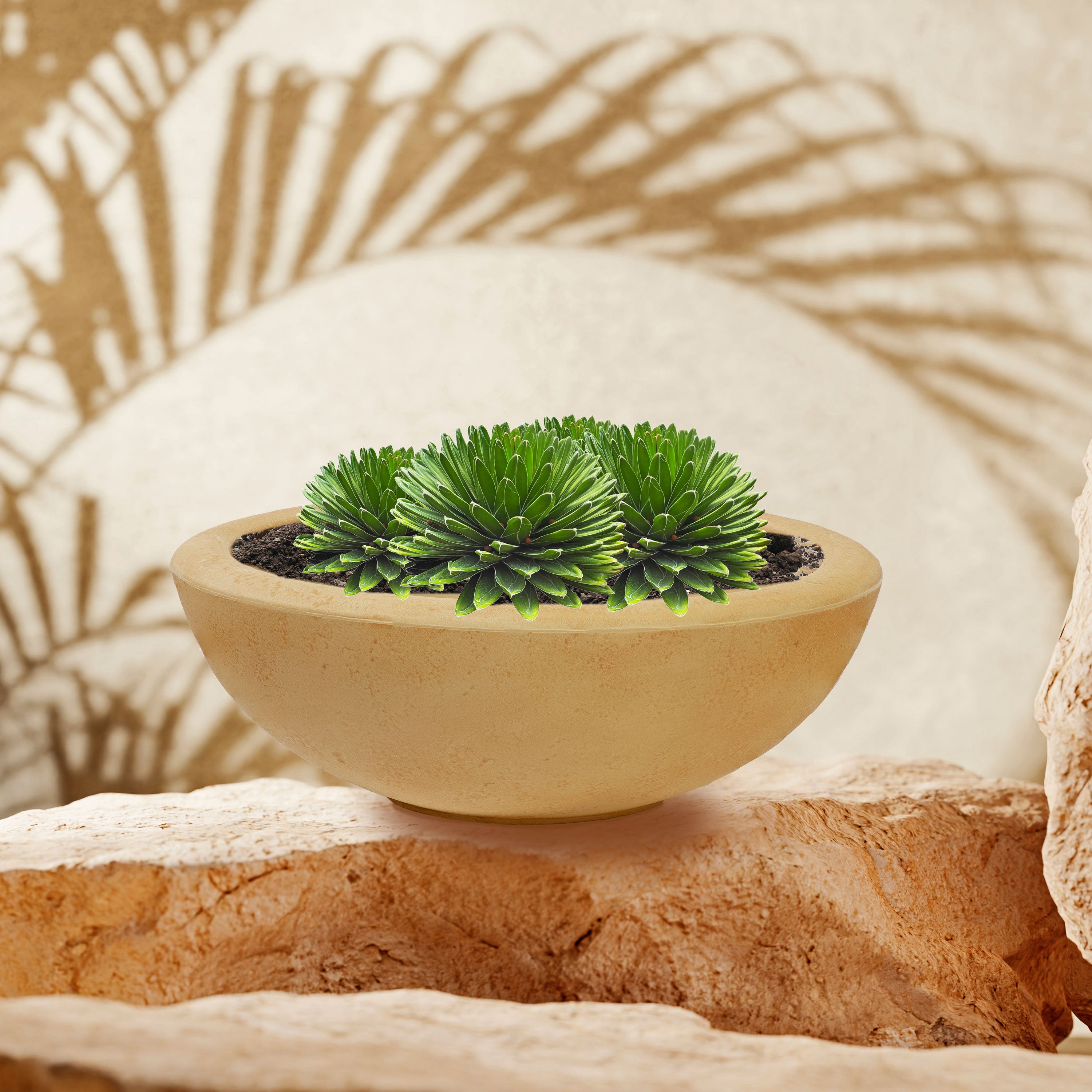 20.75 Inch Sunnydaze Percival Polyresin Outdoor Planter Bowl - Durable Garden Decor for Patio, Porch & Backyard Landscaping