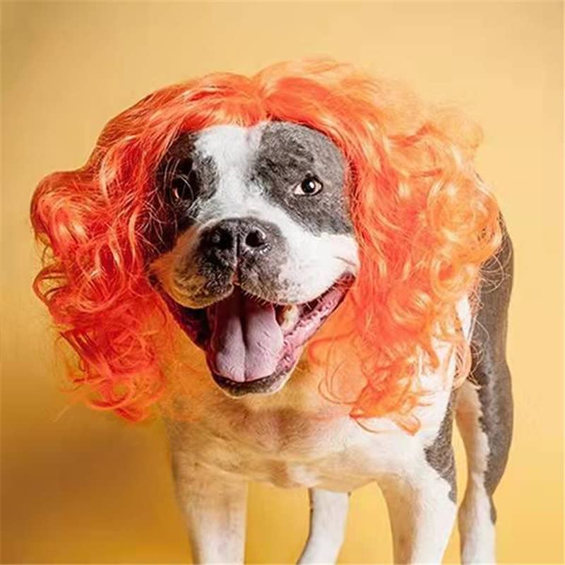 Funny Pet Wigs for Cats & Dogs - Adjustable Elastic Band Cosplay Costume Headwear in Pink, Orange & Gold | Perfect for Halloween, Christmas Parties & Pet Dress-Up Events (Orange)