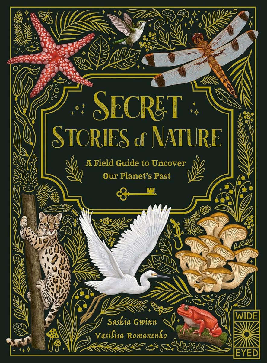 Saskia Gwinn: Secret Stories of Nature - Illustrated by Vasilisa Romanenko | Nature Exploration Book for Kids, Educational Wildlife Stories for Children, Perfect for Bedtime Reading & Classroom Learning