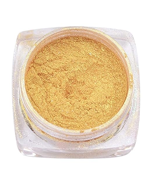 Bunny Nail Studio Chrome Powder for Nail Art - Professional Nail Glitter & Chrome Polish Powder Kit | Golden Sparkle Nail Extensions & Manicure Supplies | Perfect for Salon, Home DIY & Party Nail Designs