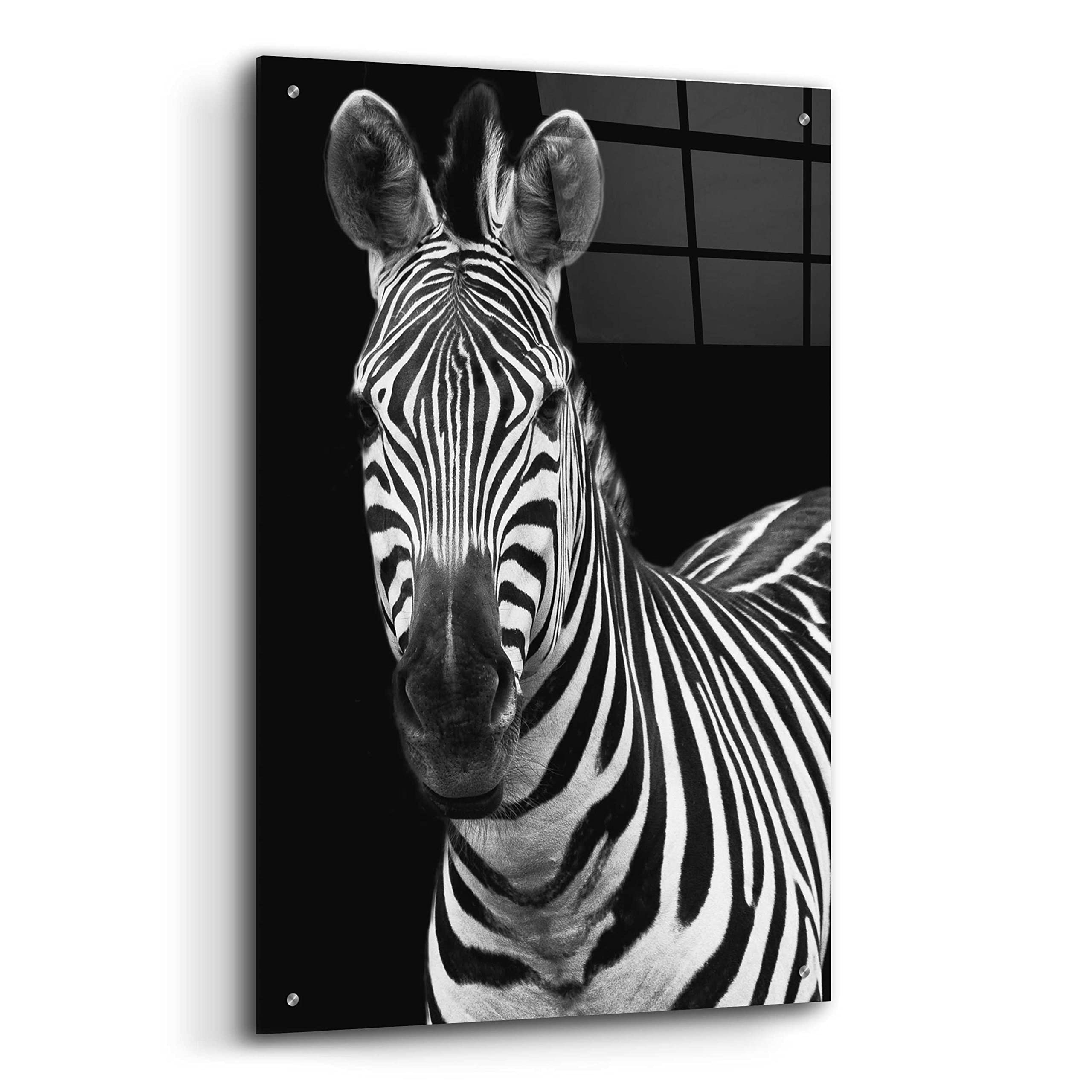 Debra Van Swearingen 'Zebra II' Acrylic Glass Wall Art - 24x36 Inches Modern Animal Print Painting for Living Room, Bedroom & Office Decor