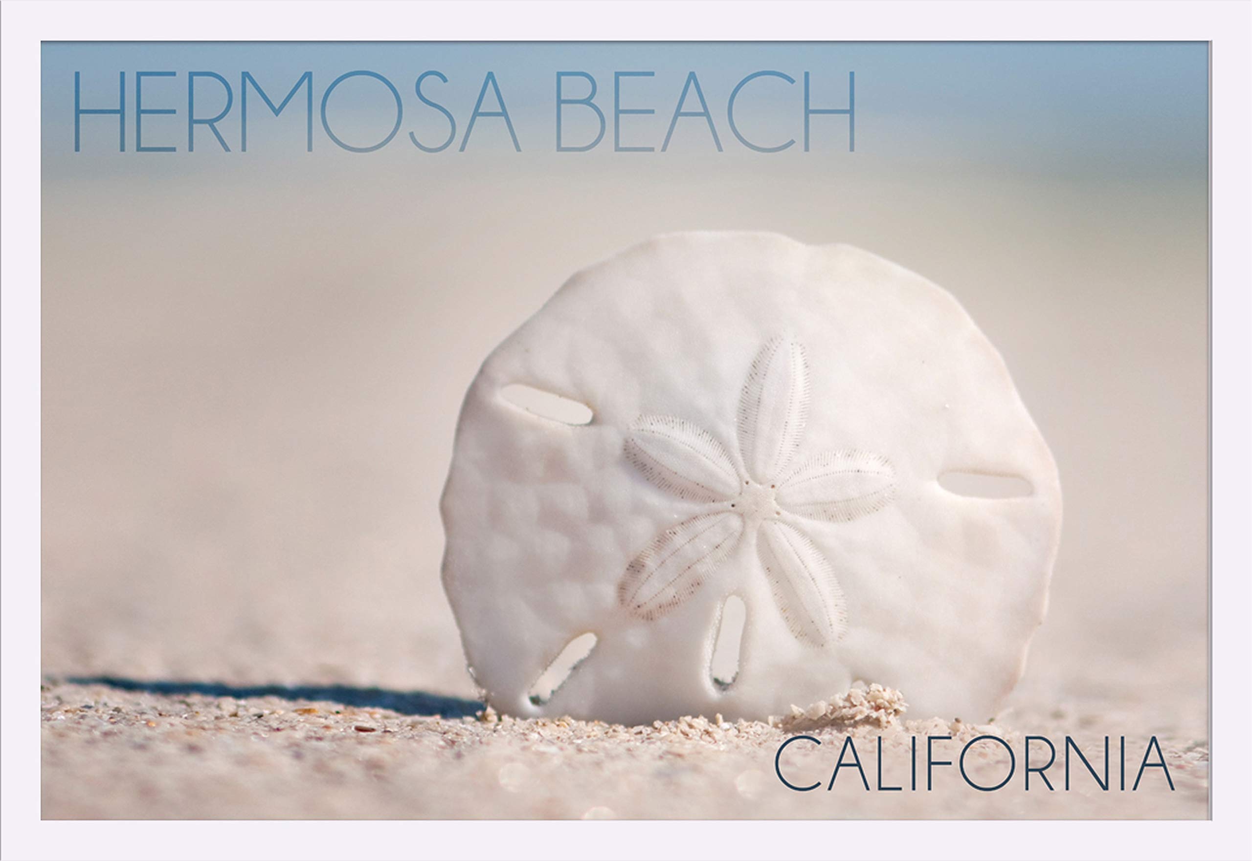 California Hermosa Beach Sand Dollar & Beach 54811 - 36x24 Giclee Art Print, Gallery Framed in White Wood - Perfect for Coastal Home Decor & Beach House Wall Art
