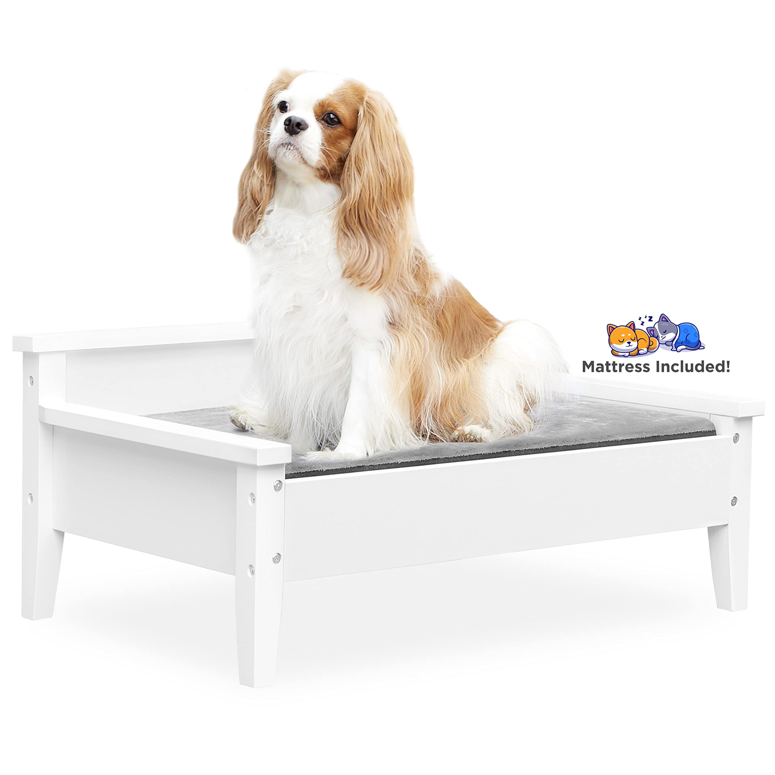 Elevated Wooden Dog Bed for Small to Medium Pets - Water-Resistant Calming Mattress, Greenguard Gold Certified Modern Dog Couch (Winston, White) - Perfect for Indoor Use in Living Room or Bedroom