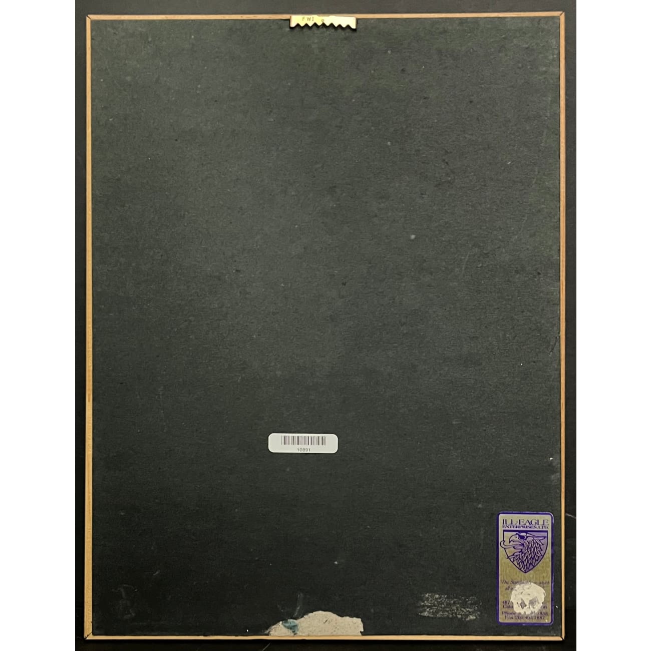 TLC Waterfalls RIAA Platinum Single Award - Official Music Recognition for Collectors & Fans | Perfect for Display in Home, Office, or Music Studio