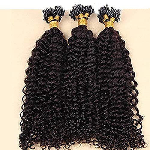 Black Beauty Kinky Curly I-Tip Human Hair Extensions - 100% Brazilian Remy Keratin Pre-Bonded Micro Links - 100g/100 Strands (14 Inch, #4 Dark Brown) for African American Women - Perfect for Protective Styles, Weddings & Special Occasions