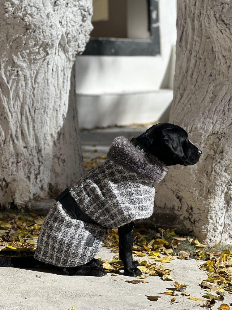 Moon River Coat - Stylish & Warm Winter Jacket for Women & Men - Perfect for Outdoor Activities, Travel & Casual Wear