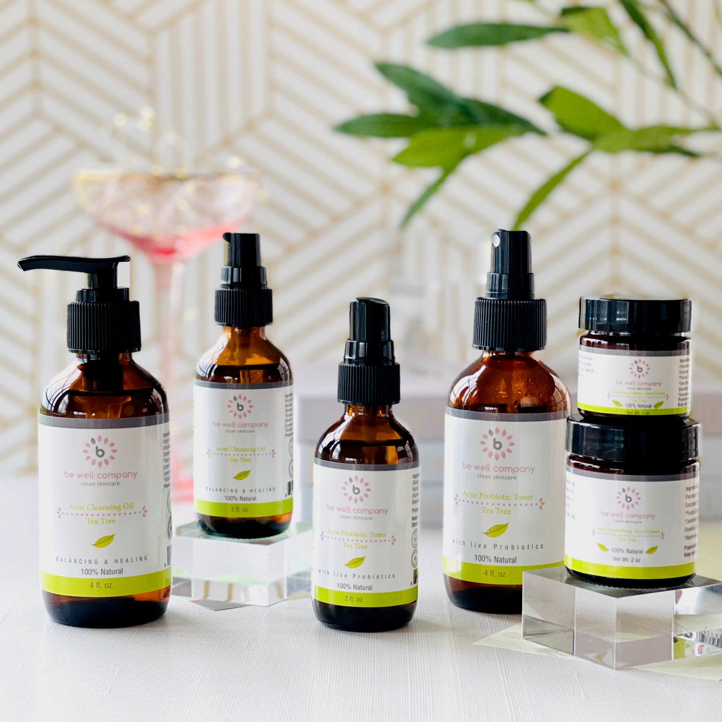 Tea Tree Acne Face Kit for Clear Skin - Acne Treatment Set with Natural Ingredients for Oily & Sensitive Skin | Perfect for Daily Skincare Routine & Blemish Control