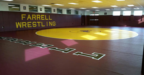 Dollamur Wrestling Mats - High Quality, Durable & Non-Slip for Training, MMA, and Home Gym Use