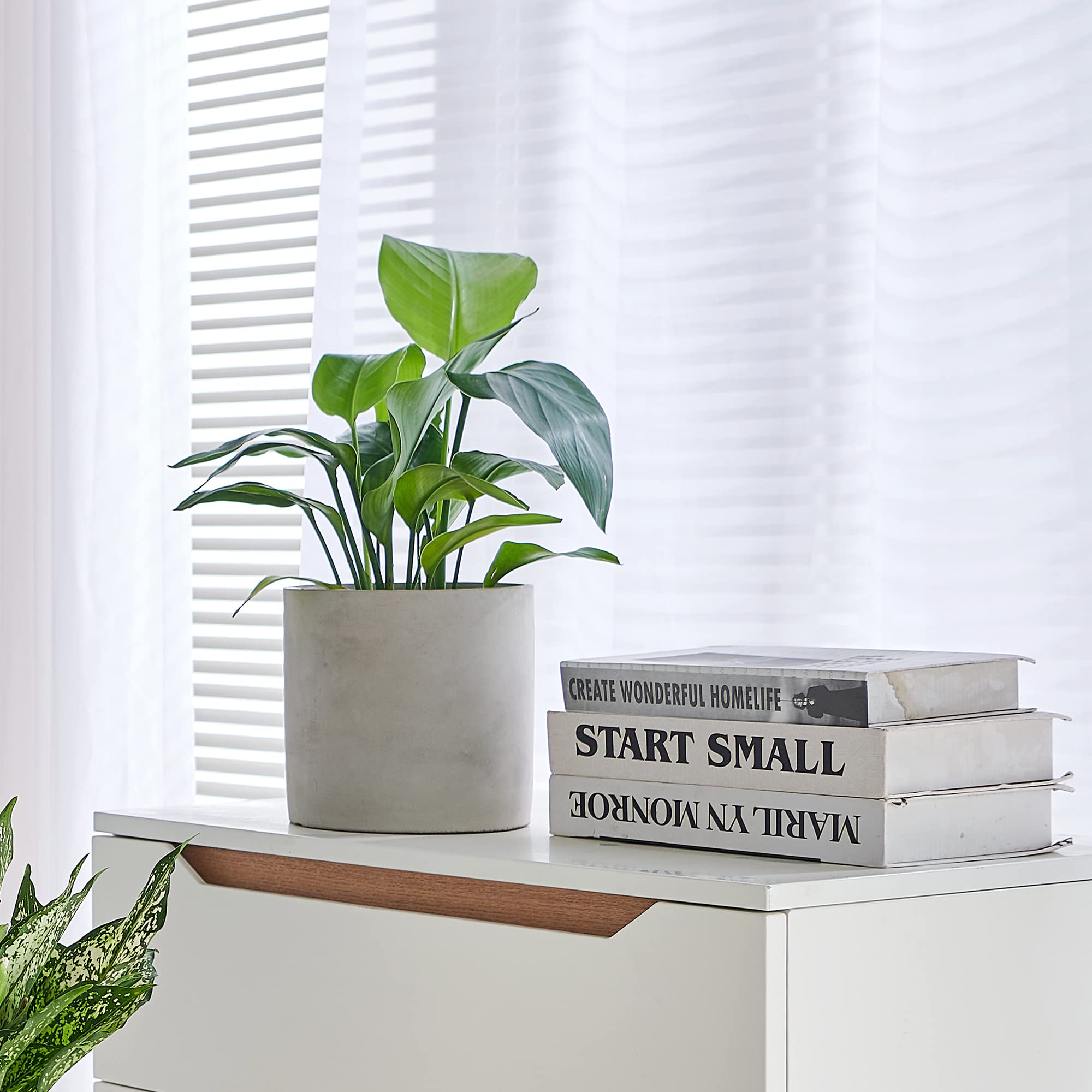 Modern 4.7 Inch Grey Cement Planter with Drainage Hole - Indoor Outdoor Plant Pots for Succulents, Herbs & Small Flowers - Perfect for Home, Office & Garden Decor (Plant Not Included)