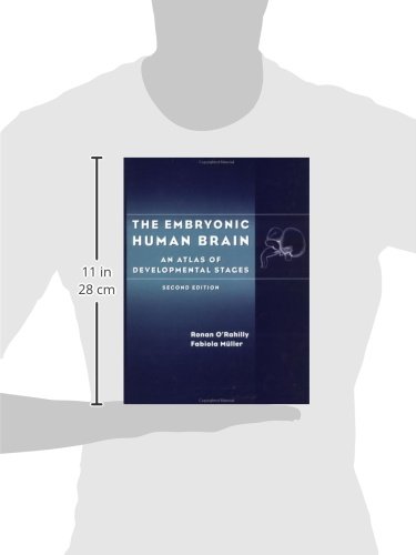 The Embryonic Human Brain: An Atlas of Developmental Stages | Neuroscience Research & Medical Education Reference | Perfect for Students, Researchers & Healthcare Professionals