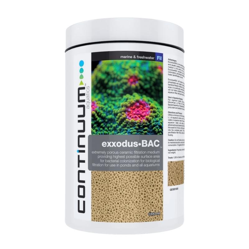 CONTINUUM EXXODUS BAC CUBES - Premium Probiotic Supplement for Gut Health & Digestion - Supports Immune System - Perfect for Travel, Work & Daily Wellness Routine
