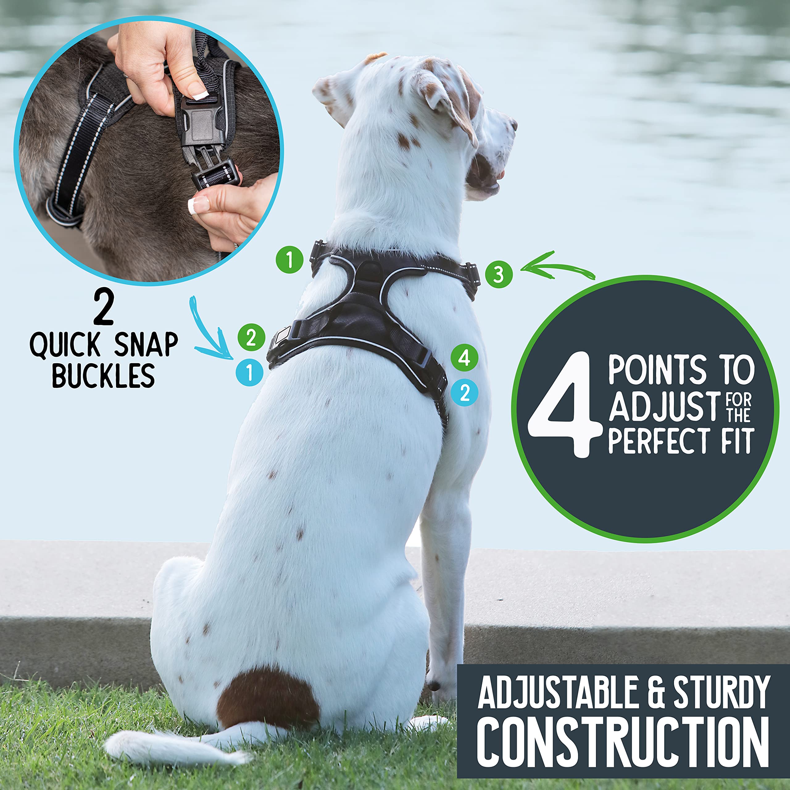 Premium Small Dog Harness for Walking & Training - Durable Pet Safety Vest with Adjustable Straps - Perfect for Outdoor Adventures, Hiking & Daily Walks