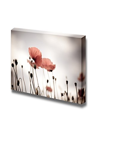 Poppy
