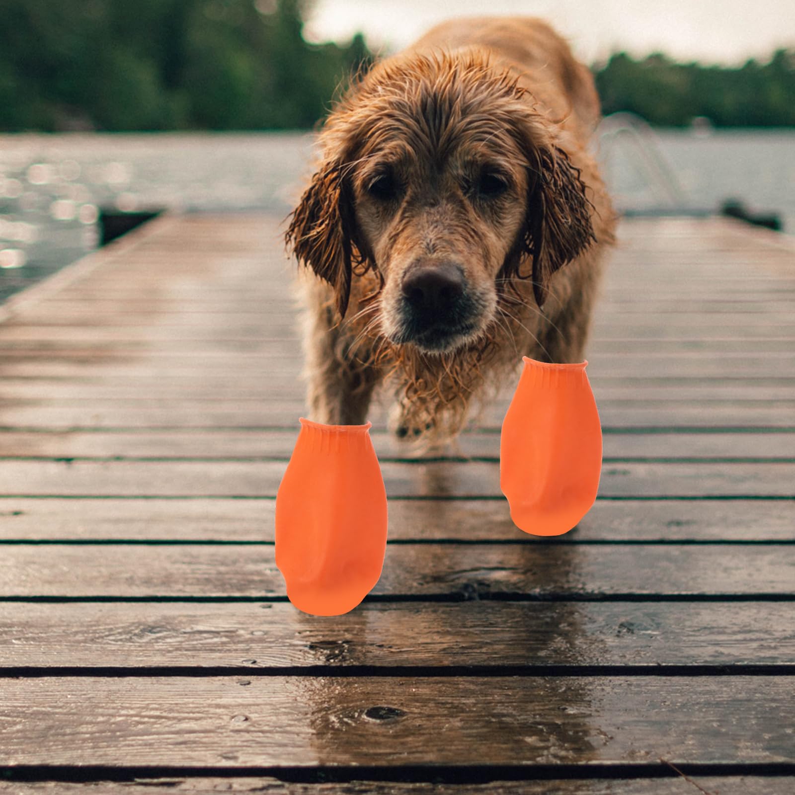 Hemobllo Waterproof Dog Boots for Small Dogs - 4Pcs Rubber Rain Shoes with Paw Protection for Pets (Orange, Size S) - Ideal for Rainy Days, Snow & Outdoor Adventures