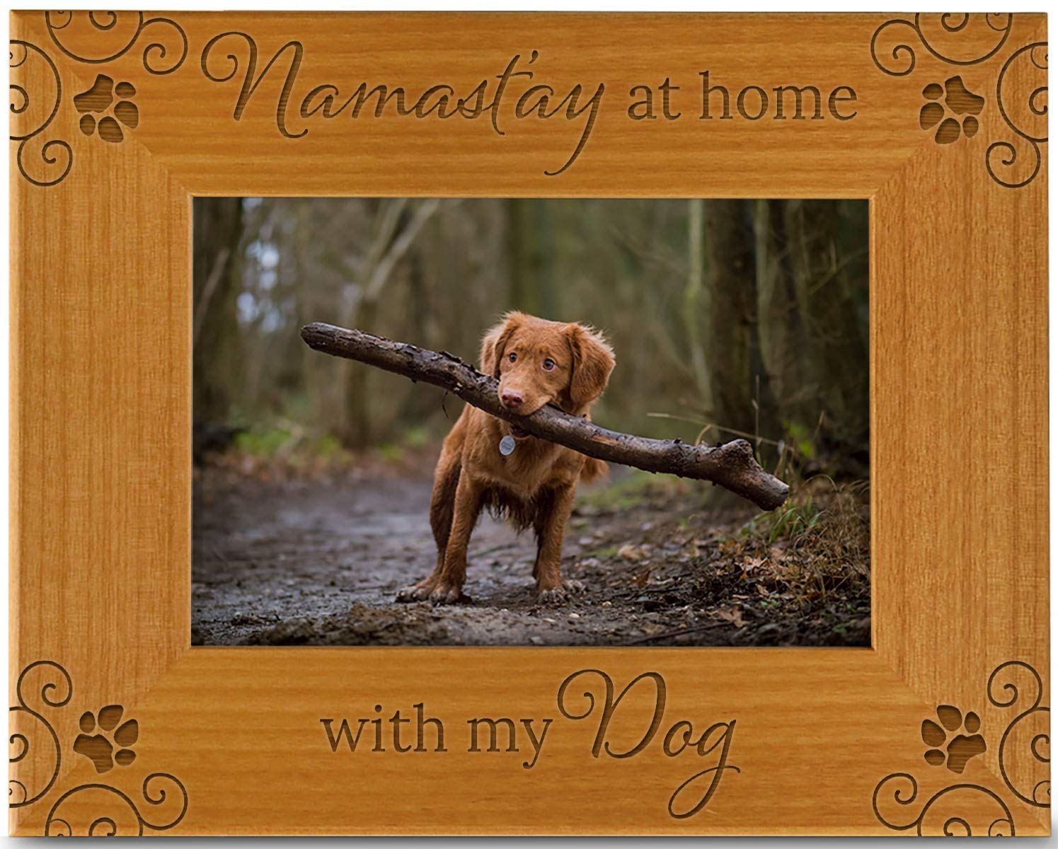 Namast'ay Home with My Dog