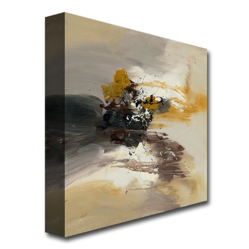 Trademark Fine Art Abstract II Canvas Wall Art by Rio - 18