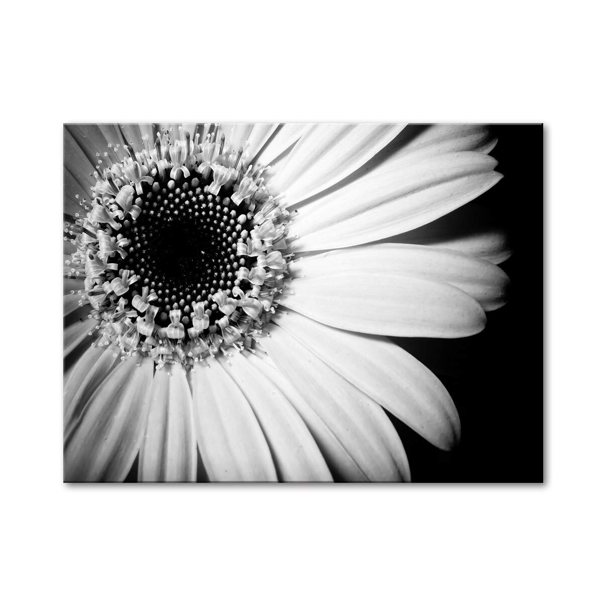 Simple Elegance Gallery Wrapped Canvas Wall Art by Norman Wyatt Home - 40x30 Inches Modern Abstract Painting for Living Room, Bedroom & Office Decor