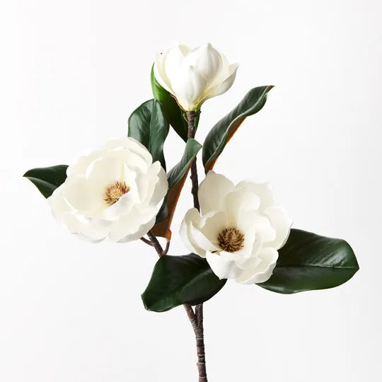 Magnolia Flower Spray - Fresh & Fragrant Floral Bouquet for Home Decor, Weddings & Events | Perfect for Centerpieces, Gifts & Aromatherapy