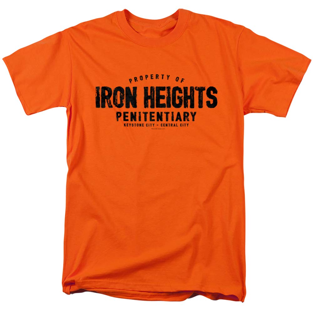 Justice League Iron Heights Unisex T-Shirt - Superhero Graphic Tee for Men & Women - Casual Wear for Comic Con, Cosplay & Everyday Outfits