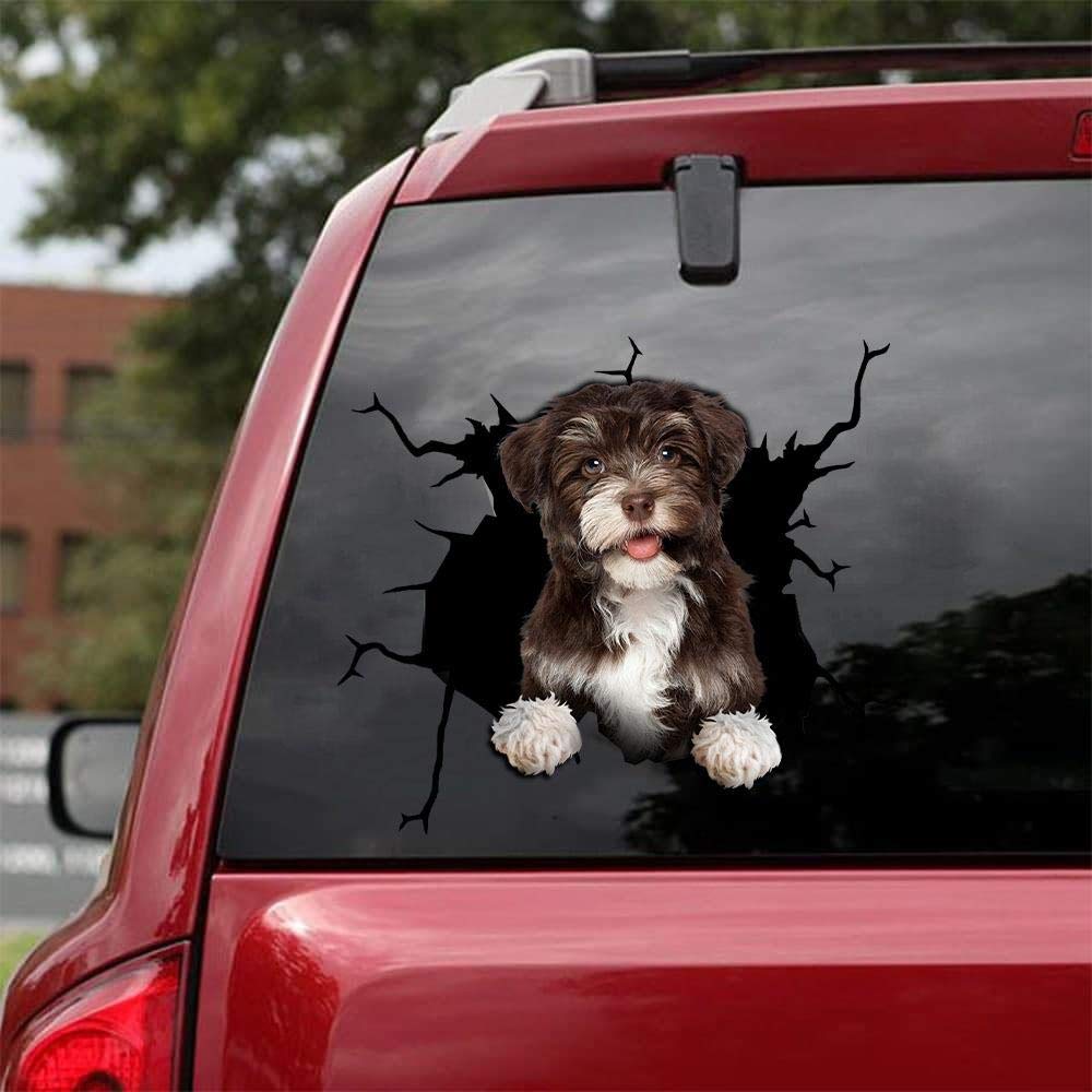 Premium Havanese Dog Car Decals - Pack of 2 Realistic 8