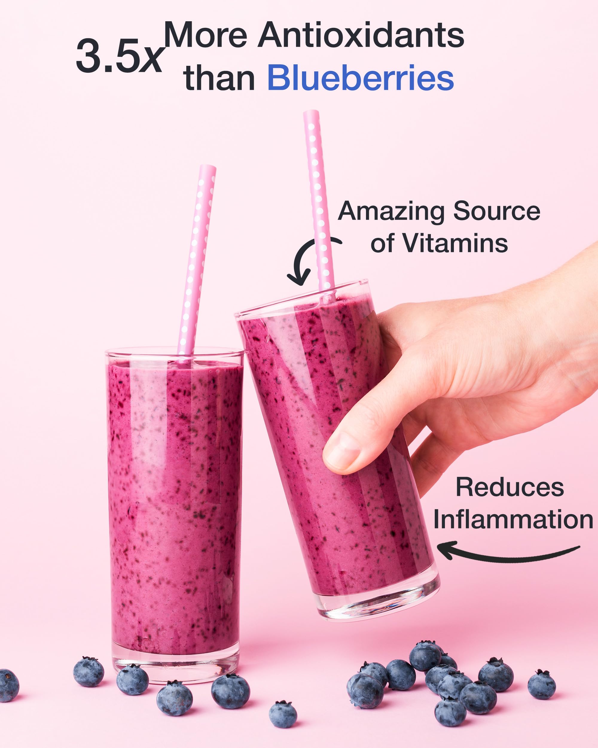 Organic Aronia Berry Juice Powder by Green Valley Superfoods - Antioxidant Rich Chokeberry Powder with High Anthocyanins (1lb) - Perfect for Smoothies, Baking & Immune Support