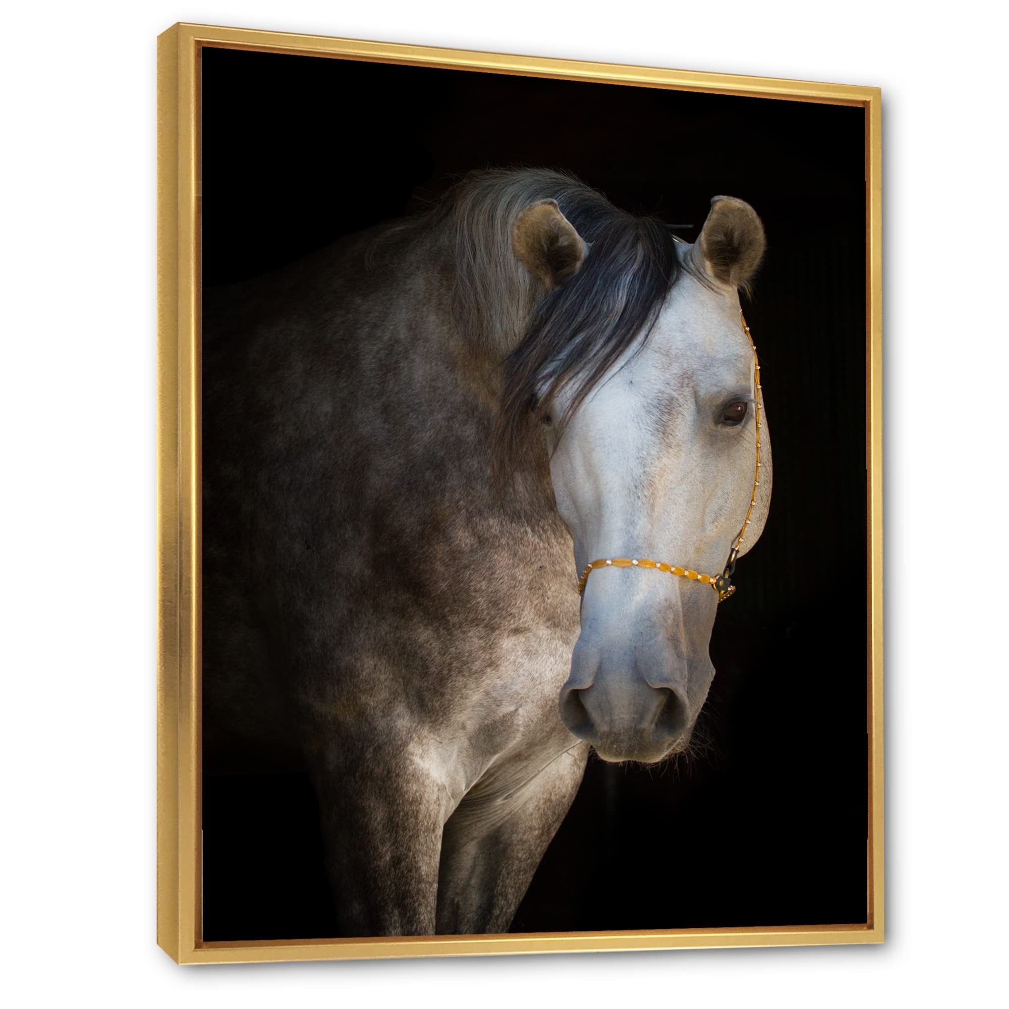 White Horse Portrait - Farmhouse Framed Canvas Wall Art Print for Living Room, Bedroom & Office Decor