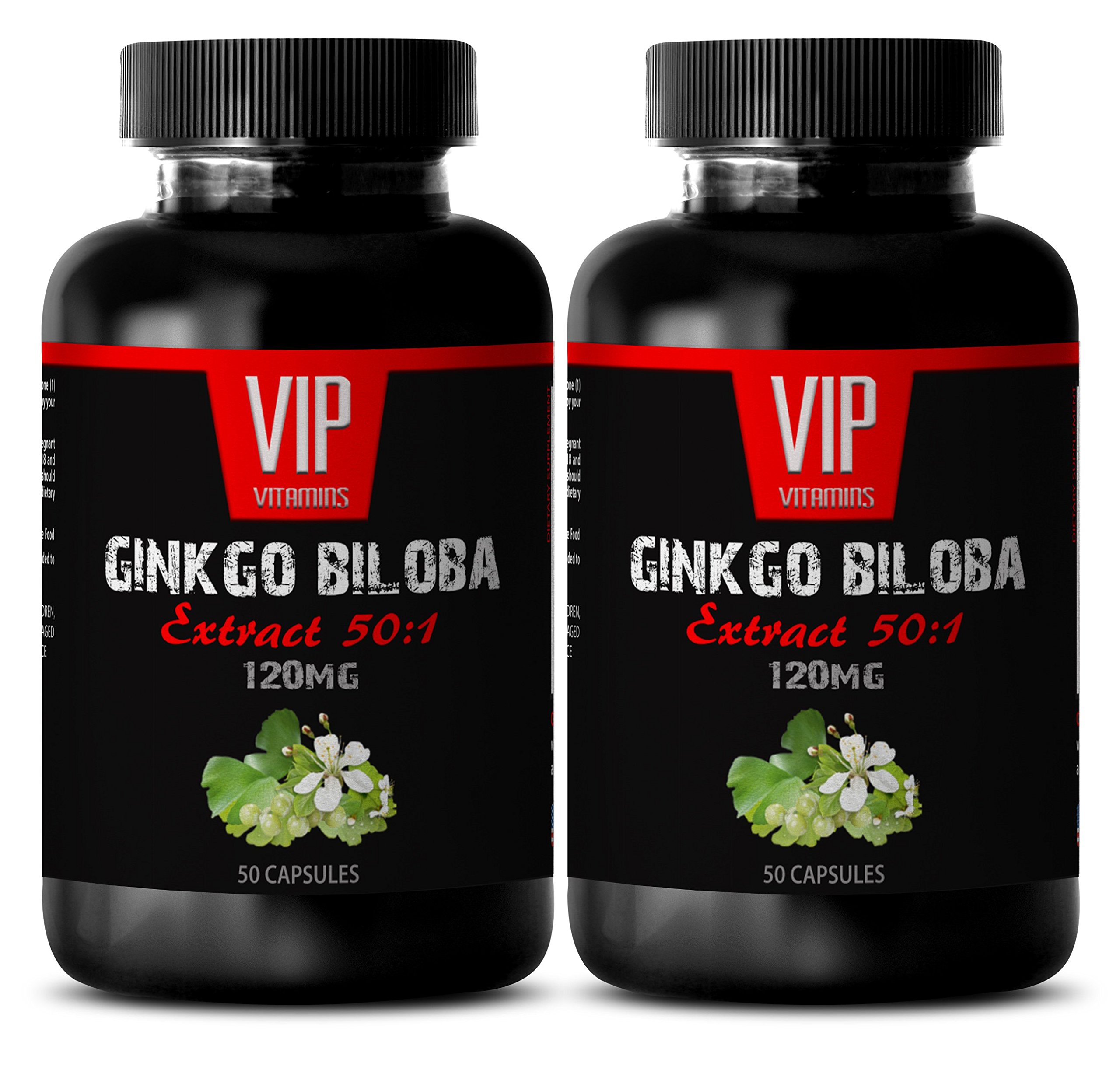 Premium Ginkgo Biloba Leaf Extract 120mg - Natural Brain Supplement for Memory, Focus & Cognitive Support (2 Bottles, 100 Capsules) - Ideal for Students, Professionals & Seniors