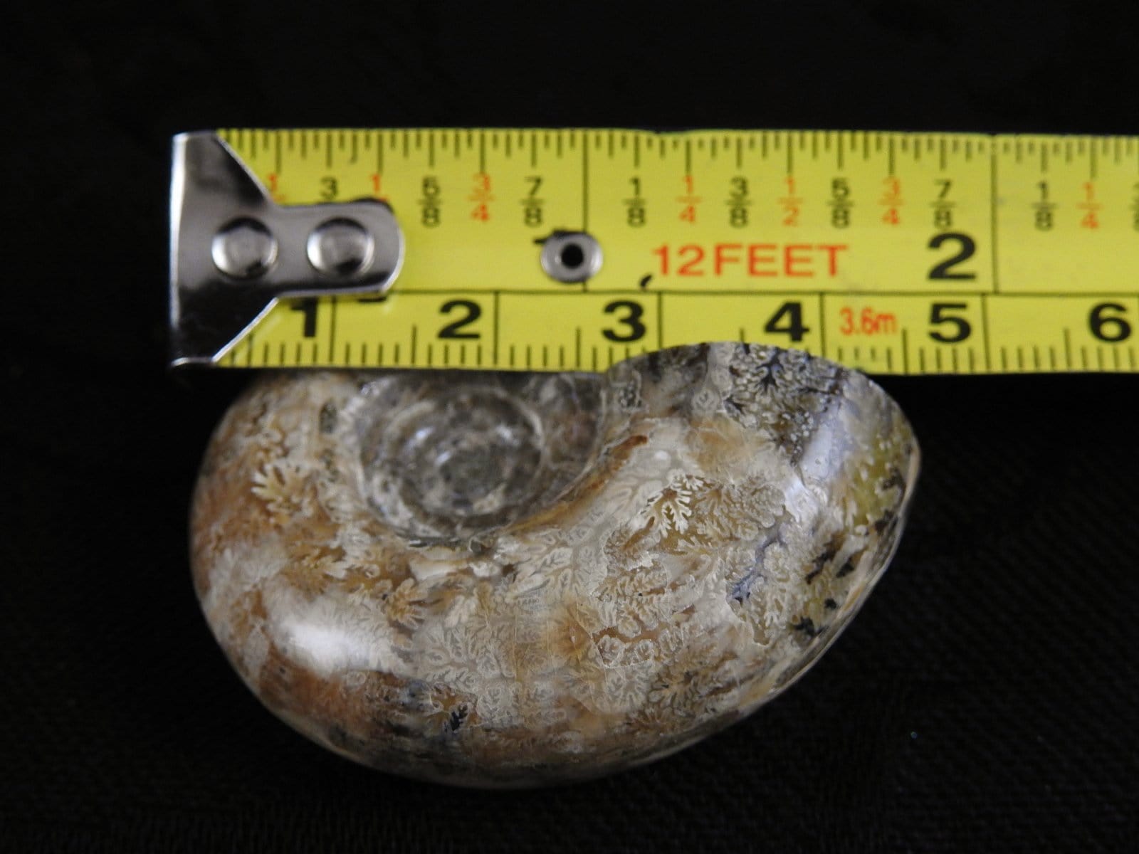Authentic Ammonite Fossil from Morocco - Natural Stone for Home Decor, Jewelry Making & Meditation - Perfect for Collectors & Gifts