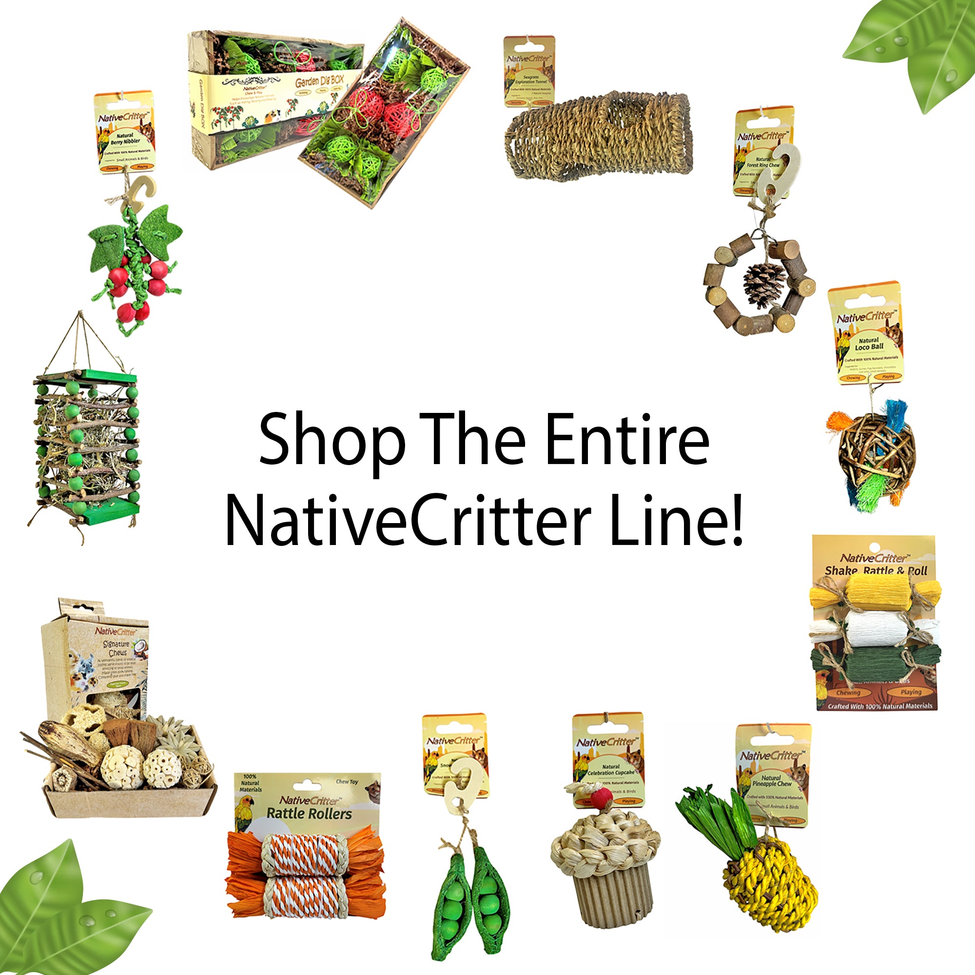 Crinkle Barrel Dog Chew Toy with Natural Apple Sticks - Fun & Safe Chewing for Puppies & Small Dogs - Perfect for Teething, Boredom Relief & Dental Health