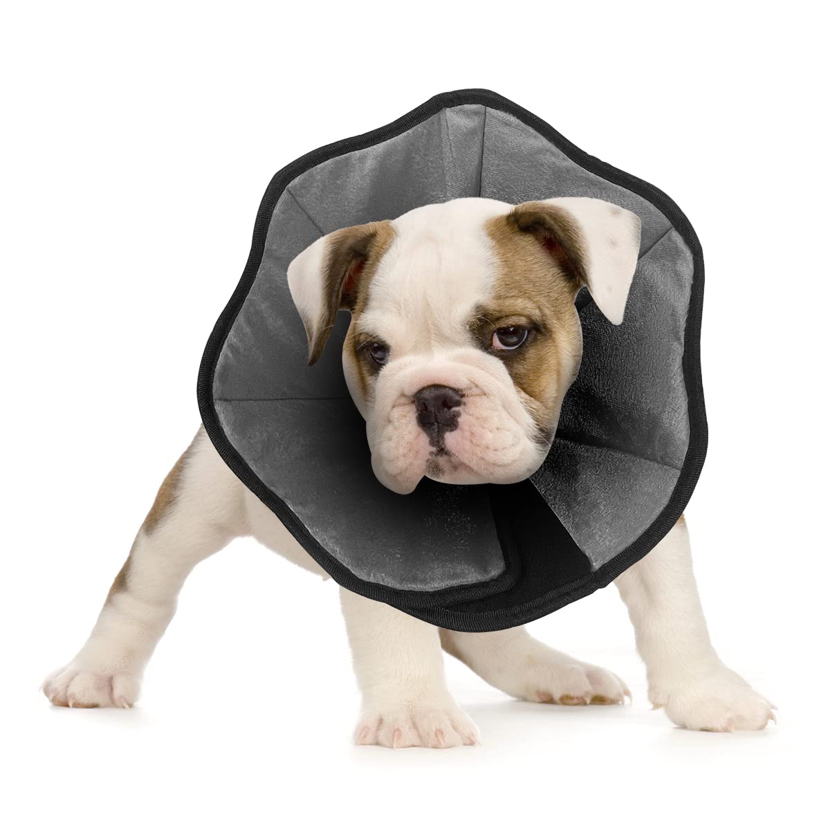 Soft Pet Recovery Collar for Dogs & Cats - Post-Surgery Protective Cone with Plush Interior - Comfortable E-Collar for Small, Medium & Large Pets - Perfect for Wound Healing, Licking Prevention & Vet Visits
