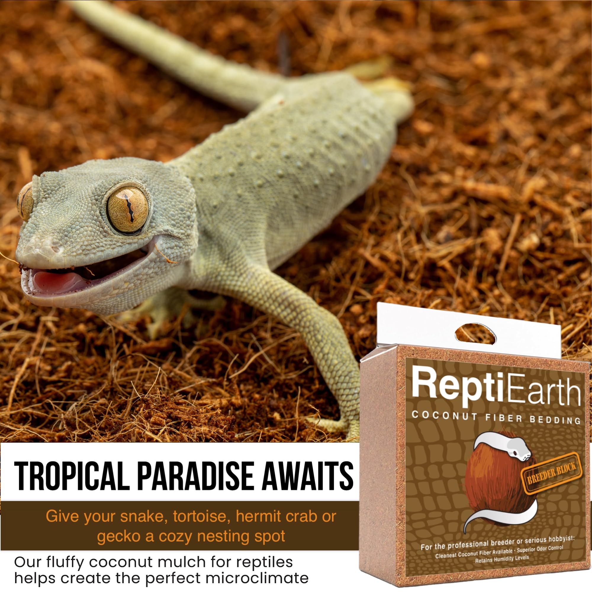 Premium ReptiEarth Coconut Fiber Substrate - Organic Fluffy Small-Strand Reptile Bedding for Bioactive Terrariums, Ideal for Lizards, Frogs, Snakes & Tarantulas | Natural Moisture Retention & Odor Control | Perfect for Tropical Habitats & Breeding Enclosures (3-Pack Breeder Bundle)