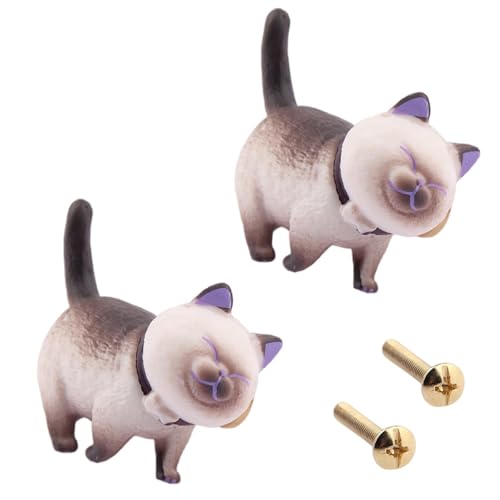 Siamese cat